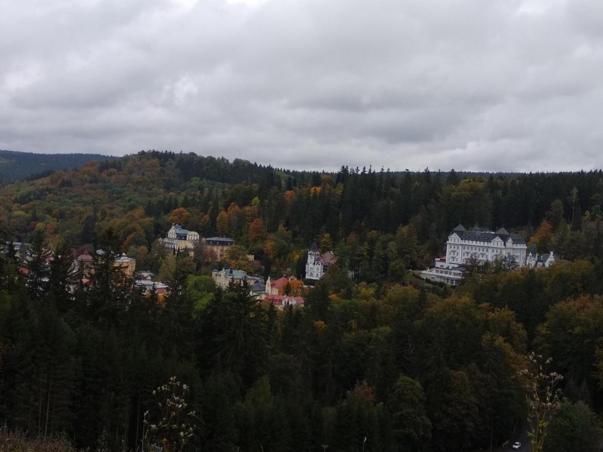 Апартаменти Apartman Friedrichsruh Маріанські Лазні Екстер'єр фото