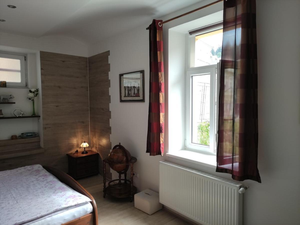 Апартаменти Apartman Friedrichsruh Маріанські Лазні Екстер'єр фото