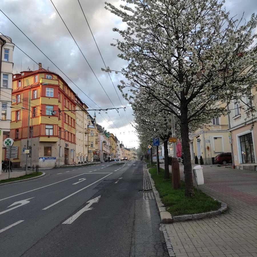 Апартаменти Apartman Friedrichsruh Маріанські Лазні Екстер'єр фото